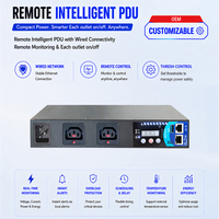 Smart PDU 2C13 Tombol Pengunci Unit Distribusi Daya Terukur Penundaan Daya Ambang Tinggi MQTT Modbus-RTU untuk Rak Pusat Data