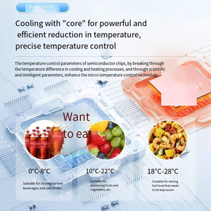 Portable Car <b>Refrigerator</b> 15L Compressor Cooling LCD Touch Screen Digital Display White Plastic 12V-220V - Product Image 4