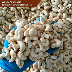 Anacardi Crudi Sottovuoto WS LP SP LWP DW dal Vietnam - Fornitore di Punta per Noci di Anacardo - Product Image 3