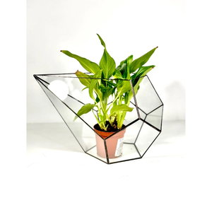 Top Class Quality Modern Glass Terrarium for Wedding Tabletop <b>Vase</b> and Living Room/Dining Room Decoration In Lowest Price - Product Image 6