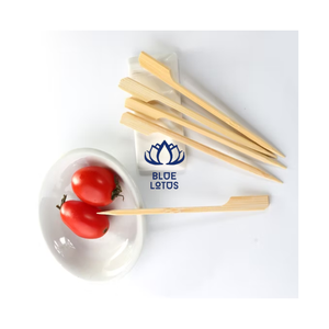 BEST SELLER Brochettes en bambou écologiques de haute qualité, jetables, portables, multifonctions, pointues, pour kebab, barbecue, apéritifs - Product Image 1