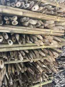 Varas de Bambú Naturales Rectas Directamente de Fábrica en Vietnam, Exportación a Granel - Product Image 6