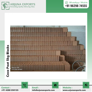Bloque de turba de coco de la mejor calidad o ladrillos de 5kg de médula de coco para cultivadores hidropónicos y agricultura - Product Image 3