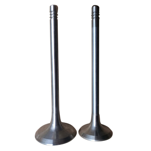 Soupape d'admission pour Deutz FL912 F912 BF6L912, référence 02137457 02137458, alésage 100 mm, pièces de moteur pour excavatrice et tracteur - Product Image 1