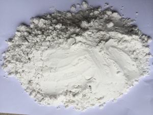 Almidón de arrowroot en polvo natural de alta calidad y económico - Product Image 5