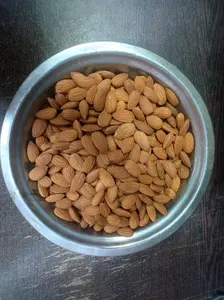 Amandes entières séchées/blanchies à la peau brune, qualité A++, 0% brisées, <6% d'humidité, prêtes à l'emploi, durée de conservation de 24 mois, Ojishths Industries - Product Image 3