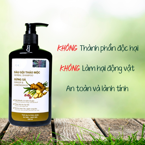SHAMPOOING AU GINGEME ET À LA CITRONNELLE VIETNAM |   SOINS CAPILARES ET DU CUIR CHEVEUROUX À BASE DE PLANTES - Product Image 1