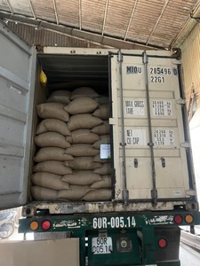 เมล็ดกาแฟโรบัสต้าคุณภาพสูง PHALCO เกรด 1 ขนาดกรอง 16/18 จากเวียดนาม ราคาดีที่สุด พร้อมส่งออก บรรจุในถุงกระสอบ - Product Image 6