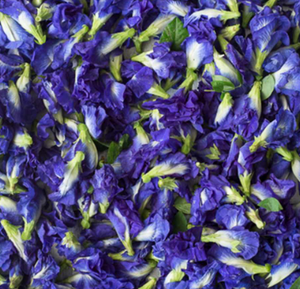 Poudre de fleur de pois papillon séchée mélangée, 100% naturelle, thé amincissant à base de plantes, approvisionnement en vrac, Vietnam - Product Image 3