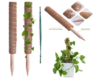 Guía para Plantas Trepadoras ARAVA Ecológica, Material de Fibra de Coco Biodegradable, Opciones Extensibles/No Extensibles, Tamaños Personalizables para - Product Image 6