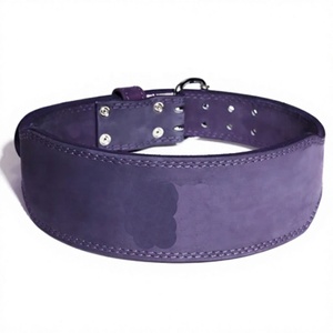 Ceinture de musculation personnalisée pour femme en cuir pailleté, respirante, accessoire de fitness pour la maison - Product Image 1