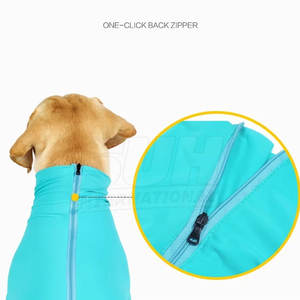 Traje para Perro al por Mayor, Lindo y Moderno, de Poliéster, Personalizado, Cómodo y con Estilo Urbano - Product Image 3