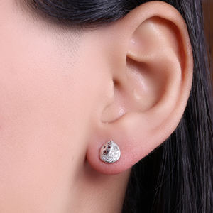 Pendientes de Plata con Diseño de Luna y Estrella, Joyería Celestial Brillante para Mujeres y Niñas, para Usar en Bodas y Fiestas - Product Image 1
