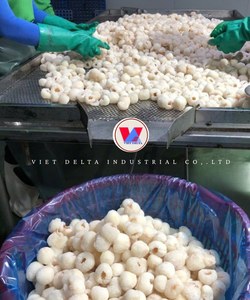 Litchis surgelés du Vietnam IQF |   Emballage sous vide |   Approvisionnement d'exportation en provenance d'usine - Product Image 5