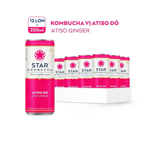 Bebida de Kombucha de Alcachofa y Jengibre al por Mayor, 250ml, Marca Star Kombucha, Bebida de Té Fermentado, Precio Competitivo, Exportación - Product Image 3