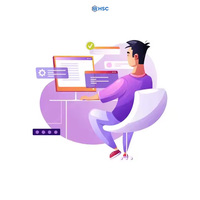 Best Quality HSC Brand Custom Software Solution for Business Growth 100% Working Direct Indian Provider Internet Version