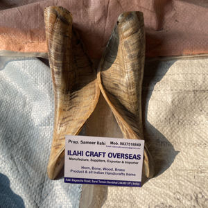 Par de Cuernos de Cabra Naturales con Acabado Natural para Decoración y Manualidades de Alta Calidad - Product Image 1