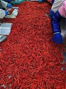 Piment rouge surgelé IQF du Vietnam - 100% pur, entier, emballage sous vide 10kg, emballage OEM, livraison rapide, cultivé en plein air, durée de conservation 12 mois - Product Image 4