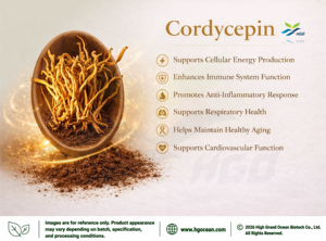 Hgo สารสกัดจาก Cordyceps 1% - 2% เกรดอาหารธรรมชาติแท้ - Product Image 2