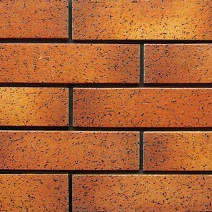 Revestimiento <span class=keywords><strong>de</strong></span> diseño <span class=keywords><strong>de</strong></span> <span class=keywords><strong>ladrillo</strong></span> fachada terracota - Product Image 4