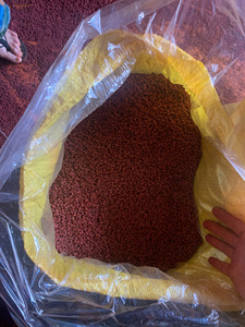 Semillas de Annatto Deshidratadas de Alta Pigmentación, Especias Naturales para Exportación Internacional al por Mayor, Soporte para Proveedores - Product Image 4