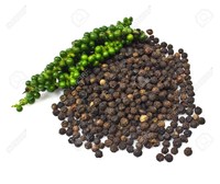 Poivre noir naturel – Fournisseur Vietnamien, Commande en gros, Grains de poivre de haute qualité // Mr.Tom