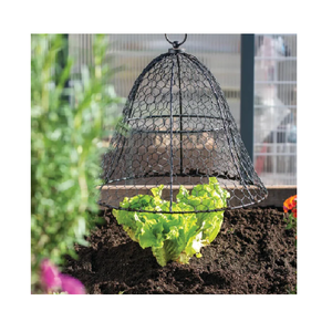 ตาข่ายคลุมไก่ - Product Image 2