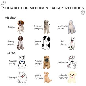 Cuccia e Recinto per Cuccioli, Mobili per Animali Domestici Non Difettosi e Garantiti, Nessun Reso - Product Image 2