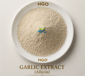 Suministro directo de fábrica de HGO de extracto de ajo natural puro (grado alimenticio) Especificación Allicin 1% - 5% (extracto estandarizado) - Product Image 4