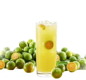 Fornecedor de vietnamita Kumquat suco azedo doce gama cor picante