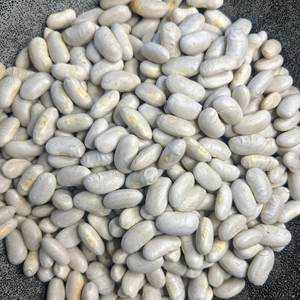 Venta Caliente: Frijoles Blancos Saludables de Alta Calidad, Paquete a Granel, Origen Austria, 50 kg, Grado A, 2 Años de Duración, Disponibles Ahora - Product Image 1