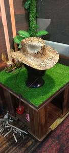Sombrero de Vaquero de Cuero con Borde Ancho y Patrón de Piel de Serpiente, Estilo Occidental, Accesorio de Disfraz para Fiestas de Cuatro Estaciones, Unisex - Product Image 5