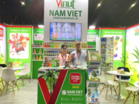 100% Natuurlijk Versgeperst Kokoswater Concentraat 10kg Zak/Fles/Doos Halal Gecertificeerd Vietnam Groothandel voor Importeurs