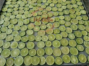 TRANCHES DE CITRON SUPER SÉCHÉES DU VIET NAM HAUTE QUALITÉ/MEILLEUR PRIX FRUITS SÉCHÉS/Mme Shyn - Product Image 4
