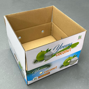 Caja de Cartón Corrugado para Exportación de Coco, Ventilada, Ecológica, Hecha con Materiales Reciclados, Impresión Offset, Embalaje para Fruta Fresca - Product Image 2