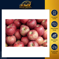 Premium verse rode appels, premium kwaliteit, sappig, knapperig, natuurlijk fruit, Ocean Link Exim, 6cm, 1kg, voor detailhandel, groothandel en export.