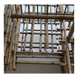 Poteau en bambou naturel, fabriqué à partir de bambou durable pour la construction de structures, les clôtures de jardin et les applications de meubles, origine Vietnam. - Product Image 3