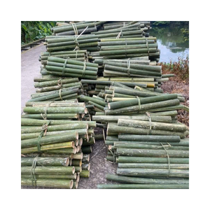 Tiras de Bambú Natural Vietnamita para Cestas de Almacenamiento Tejidas, Accesorios para Muebles, Artesanías y Decoración de Interiores - Product Image 6