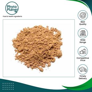 Extracto de Guaraná en Polvo 100% Puro y Natural Orgánico Hecho en Brasil de Alta Calidad y Muy Solicitado a Bajo Precio - Product Image 2