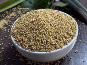 Graines de moutarde noire naturelles séchées en gros, Peeli Sarson, épice entière de qualité supérieure pour cornichons, masala, transformation alimentaire, Dev Namo - Product Image 1