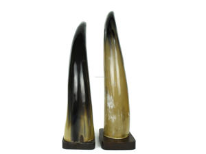 Sculpture de bureau en corne décorative pour homme, accessoires de décoration d'intérieur pour salon et bureau, vintage, fabriqué en Inde - Product Image 2