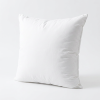 Ensemble de coussins de lit d'hôtel de luxe carrés tissés avec taie d'oreiller, couleurs et logo personnalisés, literie écologique pour la maison, service OEM