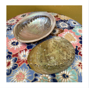 Coquille d'ormeau naturelle du Vietnam, écologique, polie, vente en gros, matériau décoratif, artisanat, bijoux, décoration intérieure, 99 GOLD - Product Image 1
