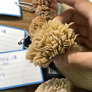 Extensiones de Cabello con Punta Plana, Cabello Humano Remy Vietnamita, Liso Natural, Doble Trama a Máquina, Todos los Colores, Thanh 100g, Venta al Por Mayor - Product Image 3