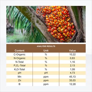 ปุ๋ยน้ำอินทรีย์ GDM สำหรับปาล์มน้ำมัน – เพิ่มผลผลิต บำรุงการเจริญเติบโต และเสริมสร้างความต้านทานของพืช - Product Image 2