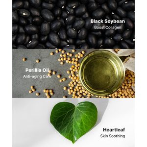 Erigeron น้ำยาทำความสะอาดใบหัวใจธรรมชาติที่มีส่วนผสมที่ทำให้สงบ - Product Image 5