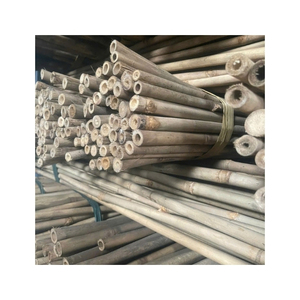 READY STOCK <b>Bamboo</b> Pole for Plant Staking Crop Support <b>Fencing</b> Farm Barriers Construction Projects - Product Image 3