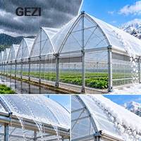 Serre commerciale à arche gothique multi-travées en acier galvanisé avec couverture en film PE pour la culture de légumes, de fleurs et de plantes de pépinière