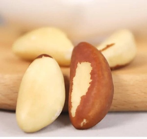 Noix du Brésil Bio Séchées de Qualité Supérieure, Certifiées ISO, Riches en Sélénium, Qualité Alimentaire, Vente en Gros, Meilleures Ventes - Product Image 3