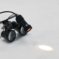 Loupe dentaire éclairée par LED 2,5x 3,5x avec filtre jaune, alimentation électrique, loupes chirurgicales médicales avec lumière d'inspection